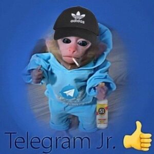 Telegram Jr. [Definitive Edition]