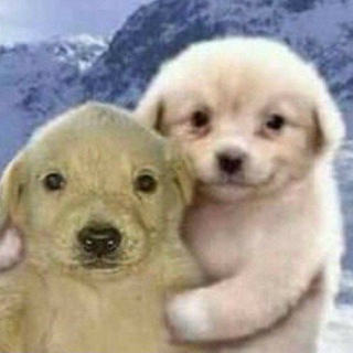 ???? ???????????????????????? ???????????????????????? ????