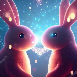 Conversa & encontros ❤️‍????