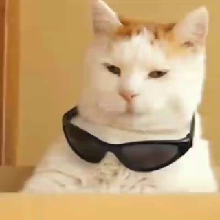 Tᴿᴼᴾᴬ ᴰᴼ Bᴬᴿᵁᴸᴴᴼ ????