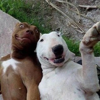 Grupo da zueira ????