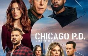 Chicago P. D. – Distrito 21 (2014) Dublado FHD