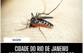 The São Paulo News